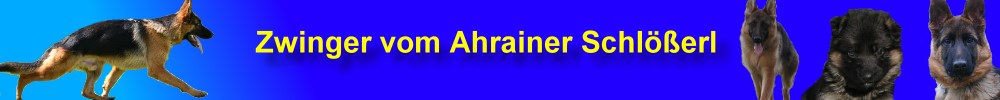 Banner Ahrainer